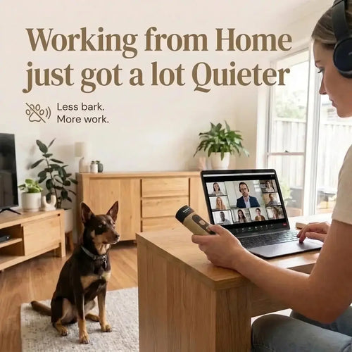 Anti Barking Device