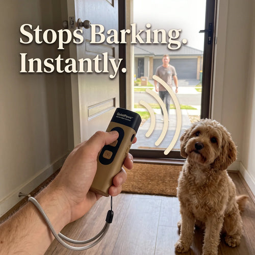 Anti Barking Device